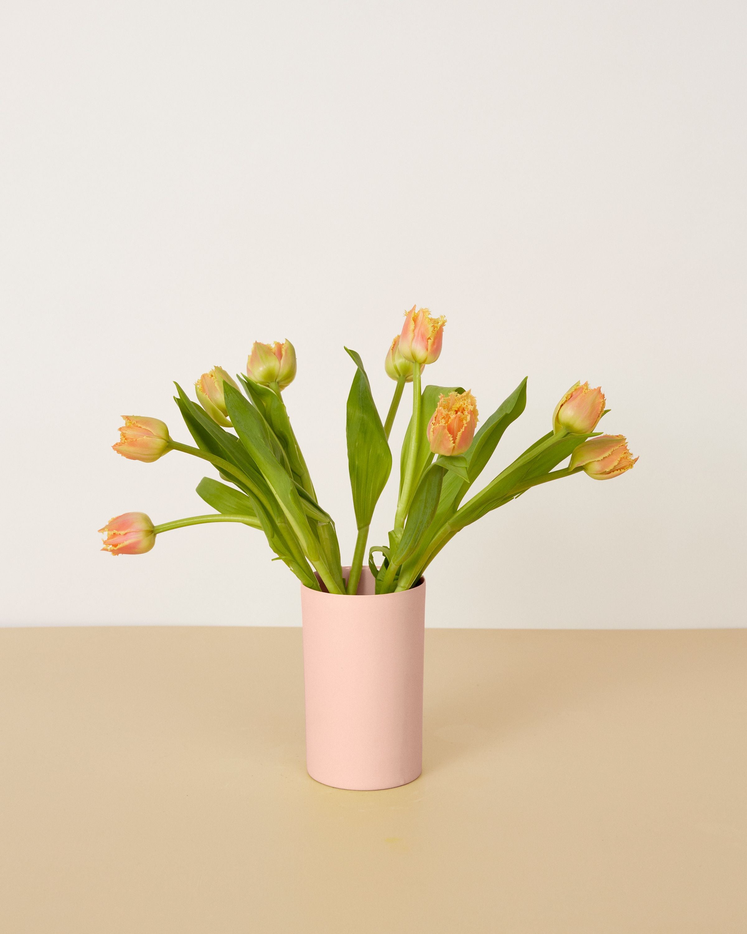 Mud Australia Vase Tumbler - clean product shot