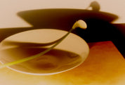 Mud Australia Nest Bowl Baby - detail