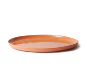 Cheese Platter Orange