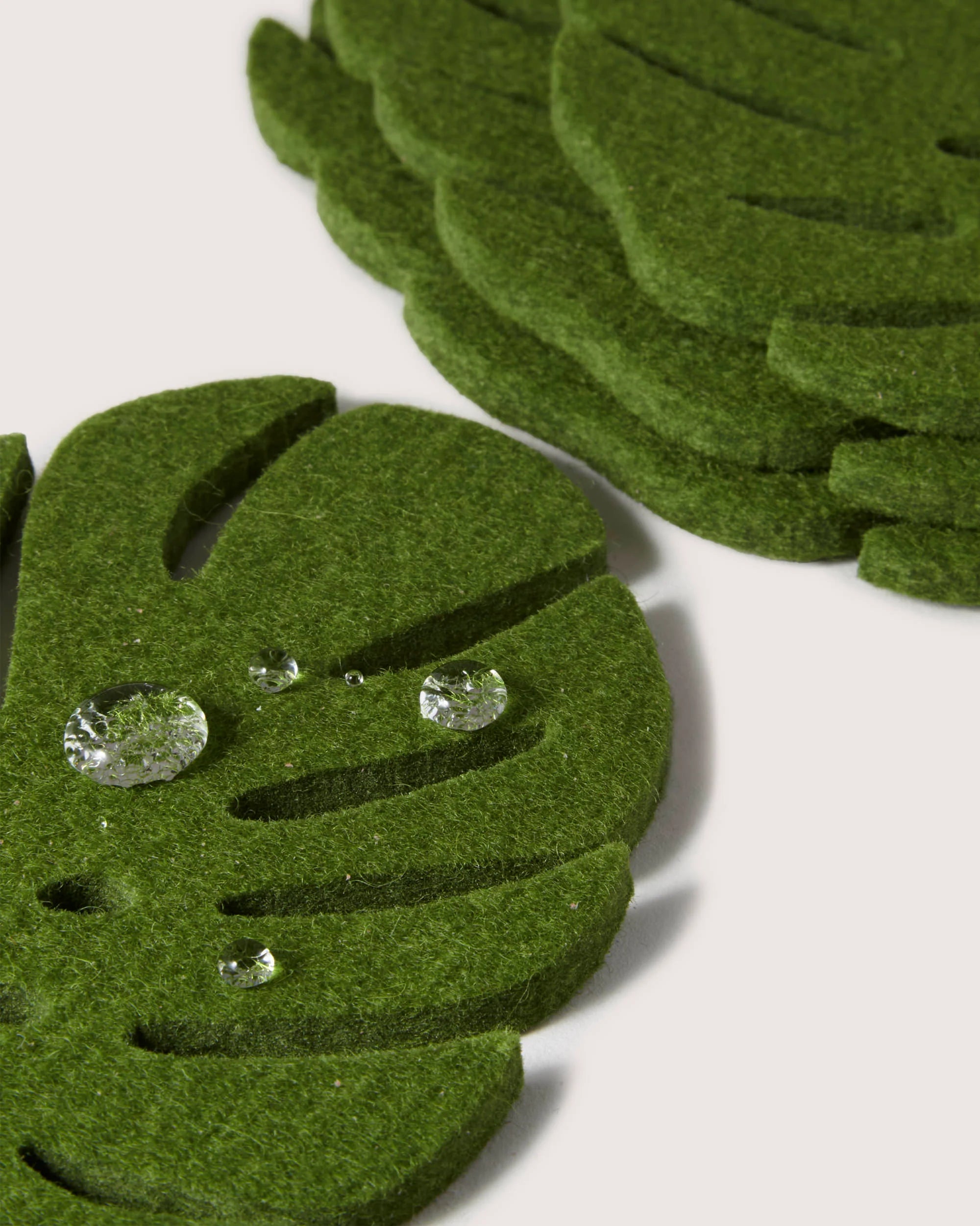 Merino Wool Monstera Leaf Coaster Set