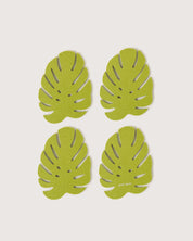 Merino Wool Monstera Leaf Coaster Set