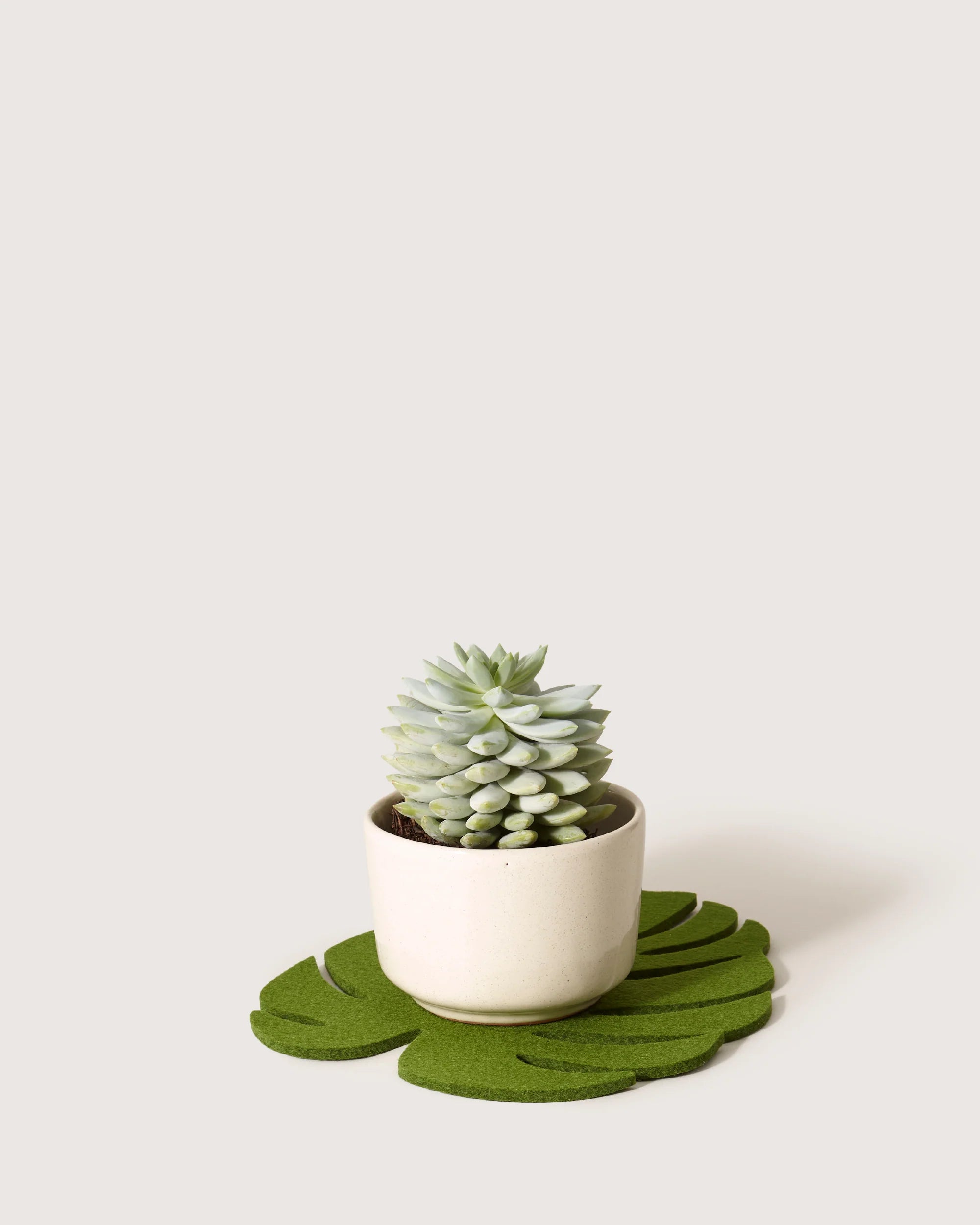 Merino Wool Monstera Leaf Trivet - Medium