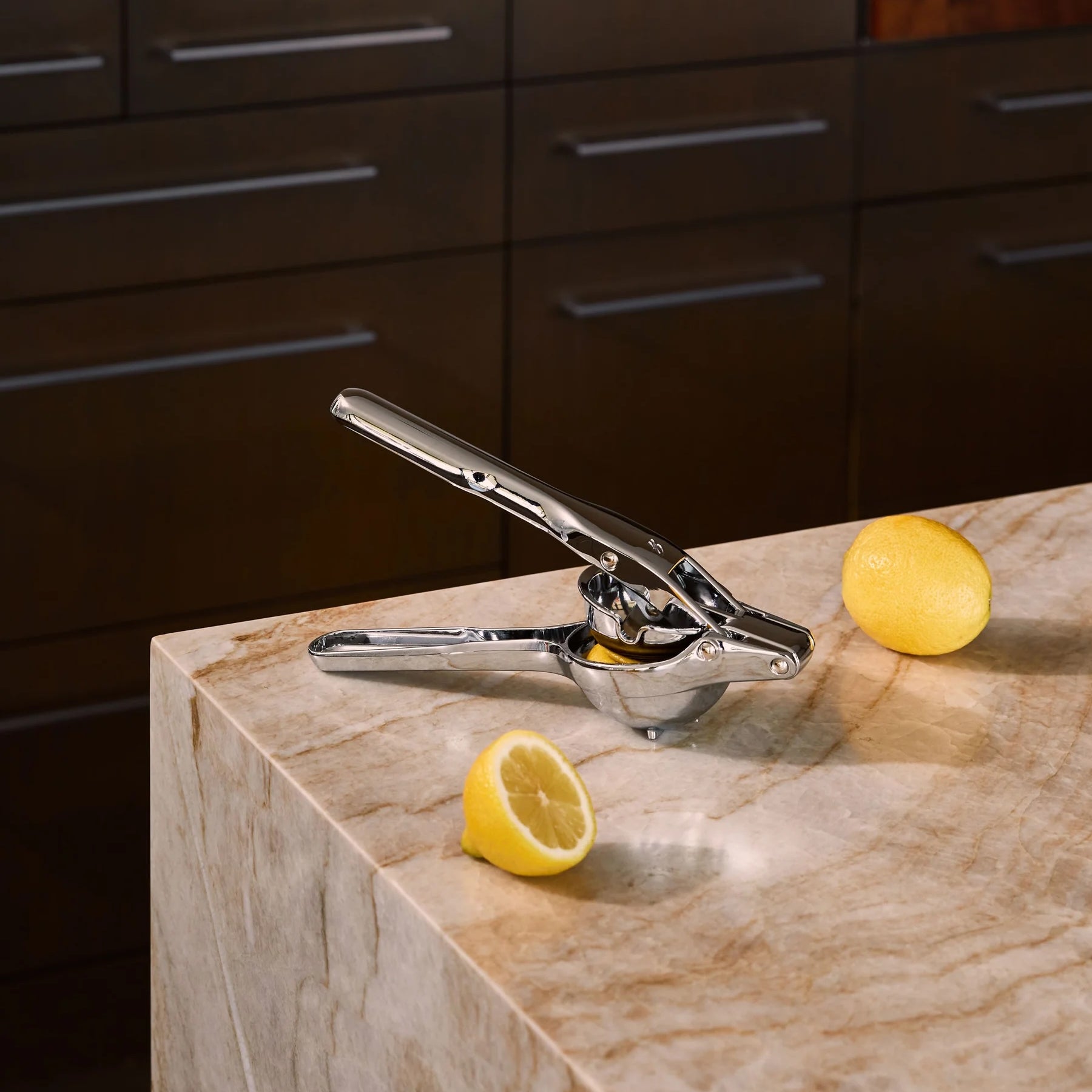 Holcomb_LinkCitrusPress_2.jpg