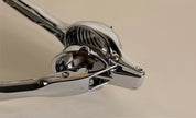 Link Citrus Press