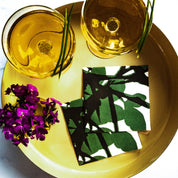 Paper Cocktail Napkin Set of 20 - And Never Memory