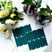 Paper Cocktail Napkin Set of 20 - The Sun-Lit Fields