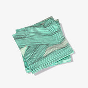 Paper Cocktail Napkin Set of 20 - The True Survey