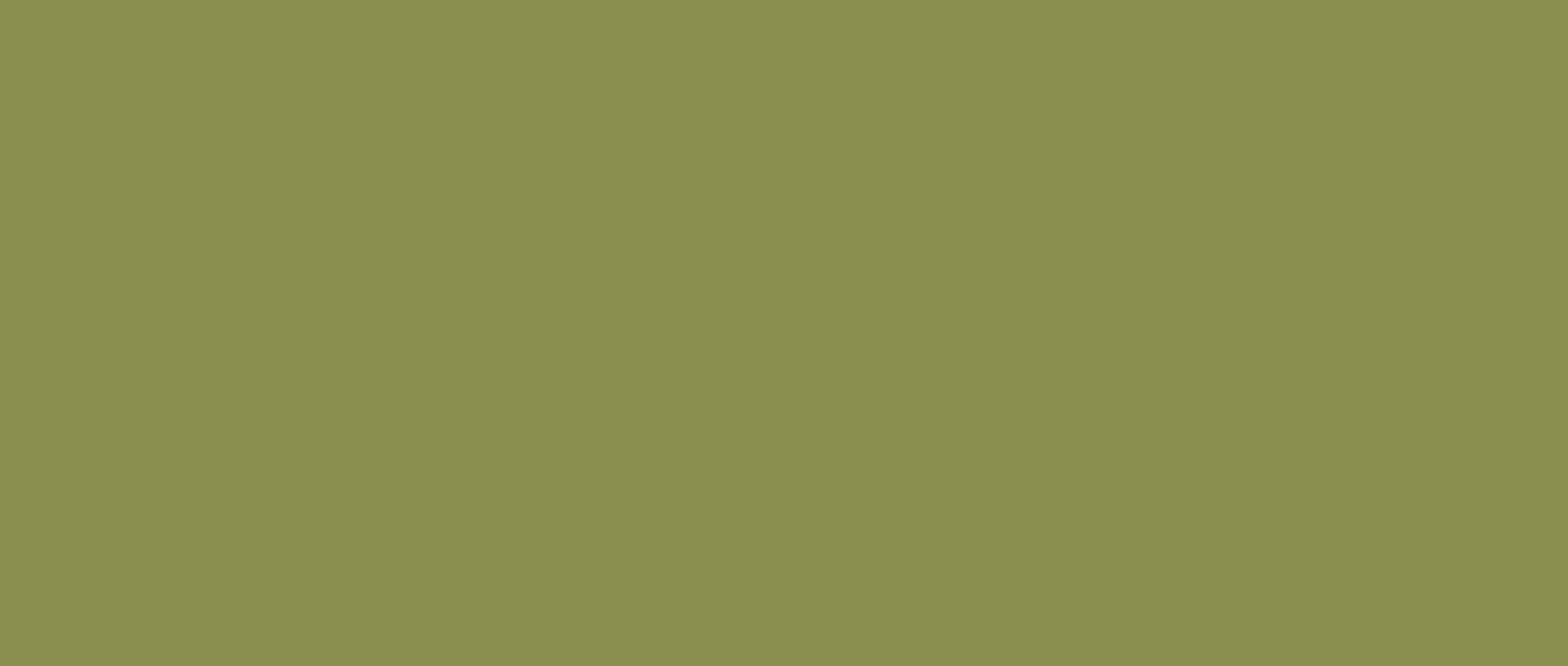 PHYLUM-Modernism-Week-Banner_2.png