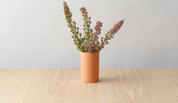 Vase Tumbler lifestyle